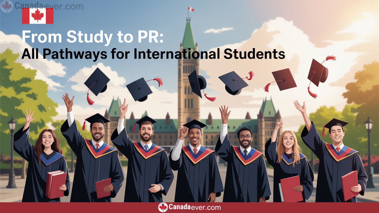 26 From Study To PR All Pathways For International Students