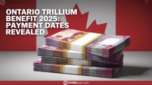 6 Ontario Trillium Benefit 2025 Payment Dates Revealed