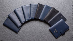 passport holder with zip protection